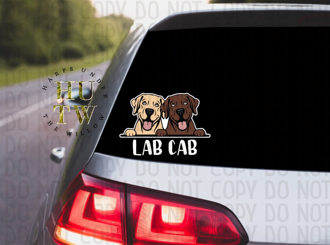 Double Labrador Retriever 