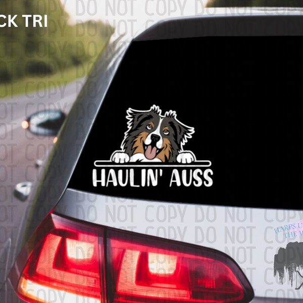 Single Australian Shepherd "Haulin' Auss" Car Decal