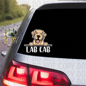 May include: A black car with a gold decal on the back window. The decal features a cartoon Labrador Retriever with the text "Harps Under The Willow" and "Lab Cab".