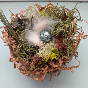 May include: A decorative nest arrangement featuring a speckled egg nestled in a bed of green moss, dried leaves, and brown shredded paper. The nest includes small pine cones and wisps of white fluff, creating a natural, earthy aesthetic.