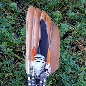 Smudge Fan with a Numerology of One, A Single Crow Feather with Lady Amherst Pheasant Energy, Length 22 inches image 1