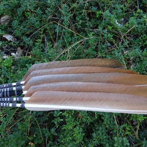 Smudge Fan with a Numerology of One, A Single Crow Feather with Lady Amherst Pheasant Energy, Length 22 inches image 6