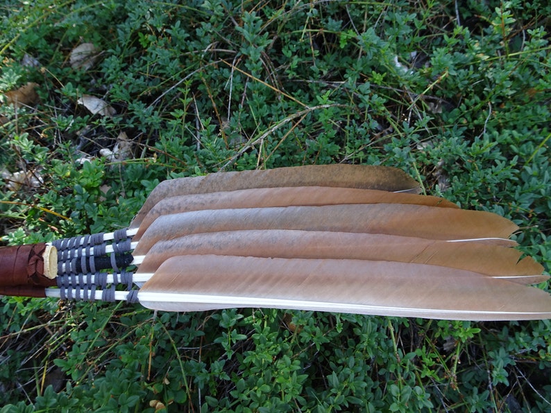 Smudge Fan with a Numerology of One, A Single Crow Feather with Lady Amherst Pheasant Energy, Length 22 inches image 6