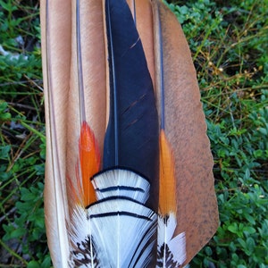 Smudge Fan with a Numerology of One, A Single Crow Feather with Lady Amherst Pheasant Energy, Length 22 inches image 2