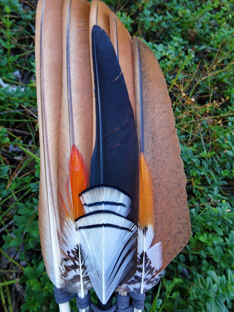 Smudge Fan with a Numerology of One, A Single Crow Feather with Lady Amherst Pheasant Energy, Length 22 inches image 2