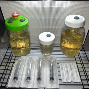 Puede incluir: Una colección de frascos de vidrio transparente con tapas de varios colores, llenos de un líquido amarillo. Varias jeringas y agujas están empaquetadas en plástico transparente. Los artículos están colocados en una rejilla de alambre.