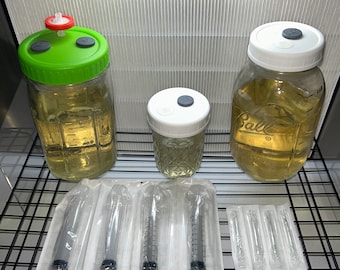 Sterile Flüssigkultur-Lösung | Myco Deckel, Rührstab & Spritzen