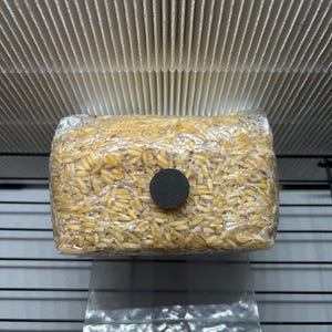 Puede incluir: Un bloque rectangular de grano, sellado en plástico transparente, con un filtro circular negro. El grano es de color marrón claro. El bloque está suspendido sobre una bolsa de plástico transparente y una rejilla metálica negra. Arriba hay un filtro plisado blanco.