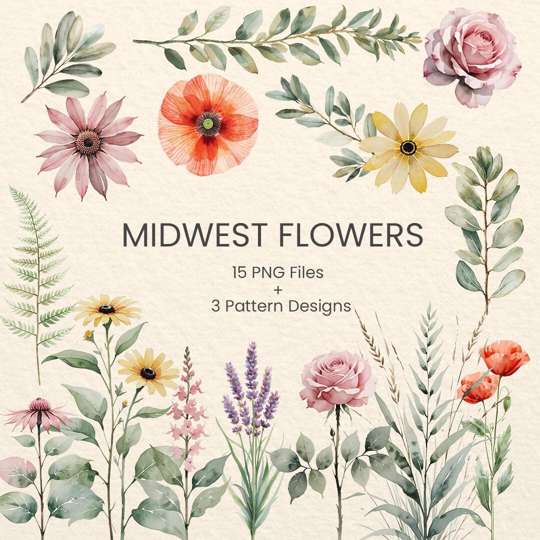 Midwest Wildflower Watercolor PNG, Meadow Floral Clip Art & Seamless ...