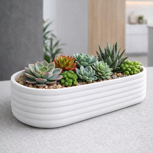 May include: A white, oval-shaped planter filled with various succulents. The succulents display shades of green, red, and orange, and are set in small pebbles. The planter has a ribbed design and sits on a light gray surface.