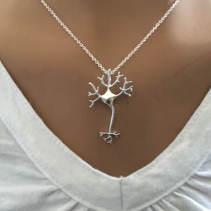 May include: A silver necklace with a detailed anatomical neuron pendant. The pendant is a realistic representation of a nerve cell.