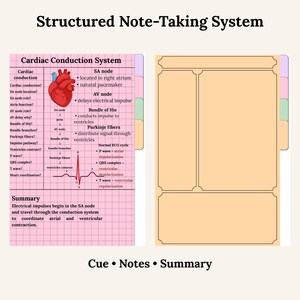 May include: A structured note-taking system with the title "Structured Note-Taking System". The image includes a diagram of the cardiac conduction system, with a heart illustration and an ECG cycle. The bottom of the image has the words "Cue &bull; Notes &bull; Summary".