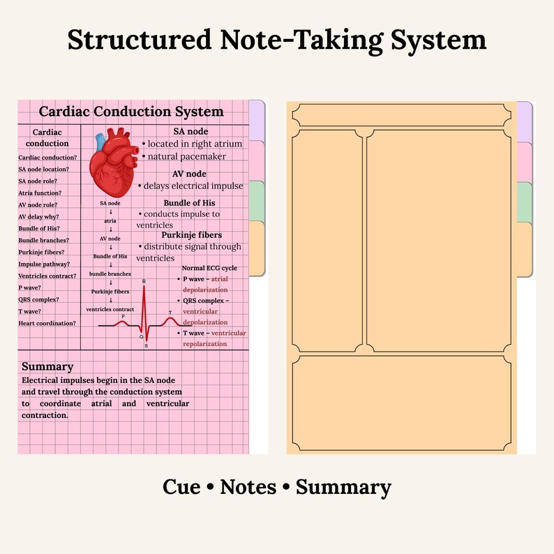 May include: A structured note-taking system with the title "Structured Note-Taking System". The image includes a diagram of the cardiac conduction system, with a heart illustration and an ECG cycle. The bottom of the image has the words "Cue &bull; Notes &bull; Summary".