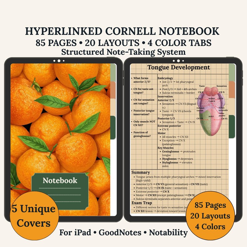 May include: A digital notebook with a Cornell note-taking system, featuring 85 pages, 20 layouts, and 4 colour tabs. The cover displays oranges. Includes 5 unique covers and is designed for iPad, GoodNotes, and Notability.