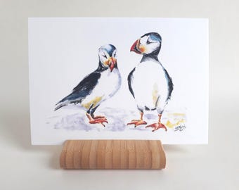 Biglietto d'auguri con pulcinella di mare, cartolina, acquerello dipinto a mano