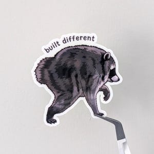 Jimothy Waschbär-Aufkleber – „Built Different“-Meme-Aufkleber – Lustiger viraler Waschbär-Aufkleber, süßes Internet-Meme, glänzender Vinyl-Aufkleber Bild 1