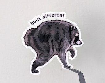 Jimothy Raccoon Sticker - Built Different Meme Sticker - Funny Viral Raccoon Decal, Cute Internet Meme, Glossy Vinyl Sticker