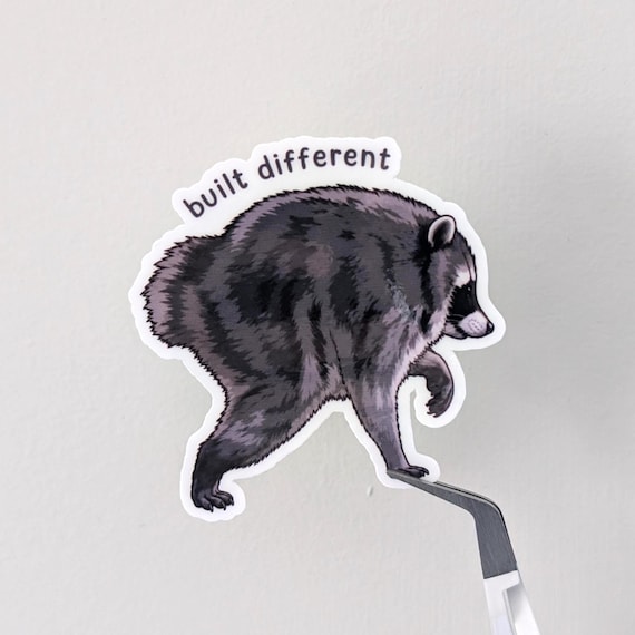 Jimothy Raccoon Sticker - Built Different Meme Sticker - Funny Viral Raccoon Decal, Cute Internet Meme, Glossy Vinyl Sticker