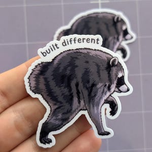 Jimothy Waschbär-Aufkleber – „Built Different“-Meme-Aufkleber – Lustiger viraler Waschbär-Aufkleber, süßes Internet-Meme, glänzender Vinyl-Aufkleber Built Different