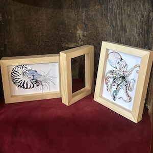 May include: Two framed art prints featuring marine life, including a nautilus and an octopus, displayed on a red surface. The frames are made of light-colored wood. The octopus print showcases vibrant colors.