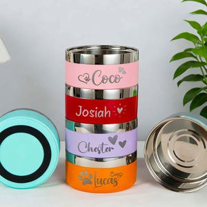 May include: Stackable pet food containers in pink, red, purple, and orange with silver rims. Each container has a pet's name engraved: Coco, Josiah, Chester, and Lucas. A teal container and a lid are also visible.