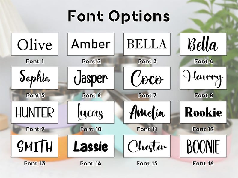May include: A graphic displaying 16 font options for text design. Each font is shown with a sample word in a white rectangle. The fonts vary in style, from classic serif to modern script, with names like "Olive," "Sophia," and "Rookie."