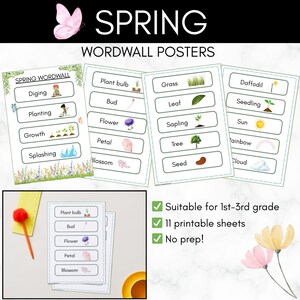 Puede incluir: Pósteres de pared de palabras con temática de primavera con ilustraciones y vocabulario. Los carteles incluyen palabras como "cavar", "plantar" y "crecimiento". La imagen también incluye el texto "Adecuado para 1º-3º grado", "11 hojas imprimibles" y "¡Sin preparación!"