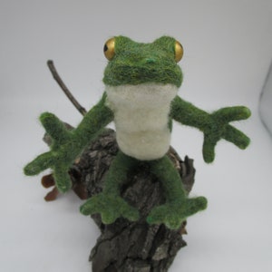 Felted Frog with Golden Eye