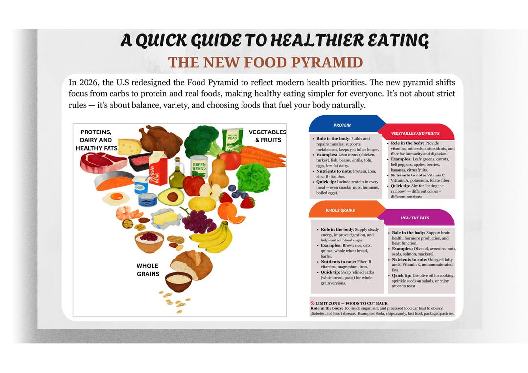 New Food Pyramid 2026, Healthy Eating Guide, Food Categories Breakdown ...