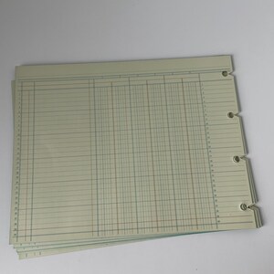 May include: A stack of ledger sheets with a pale green background. The sheets have horizontal and vertical lines creating columns and rows. The sheets are perforated on the left side with three holes for binding. The lines are in blue, red, and green.