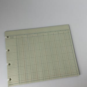 May include: A vintage ledger sheet with a grid pattern, featuring rows and columns for data entry. The sheet has a light green hue with brown and blue grid lines. It has three hole punches on the left side and is made in the U.S.A.