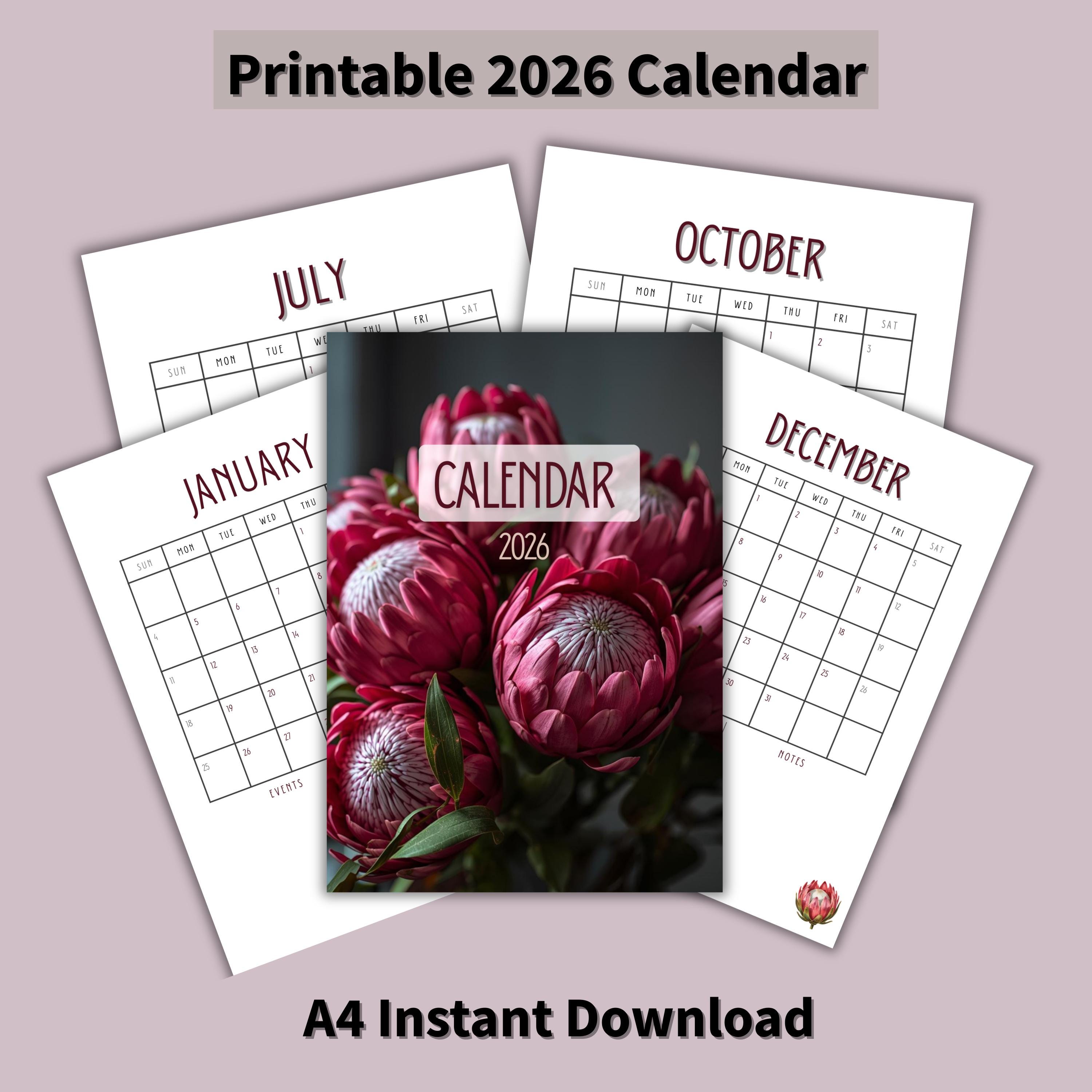 2026 Monthly Calendar Printable | A4 Vertical | Minimal Planner PDF