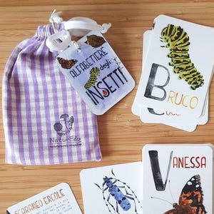 Può includere: Carte didattiche con illustrazioni di insetti e testo in italiano, insieme a un sacchetto a quadretti viola con coulisse. Le carte presentano disegni colorati di insetti e i loro nomi in italiano.