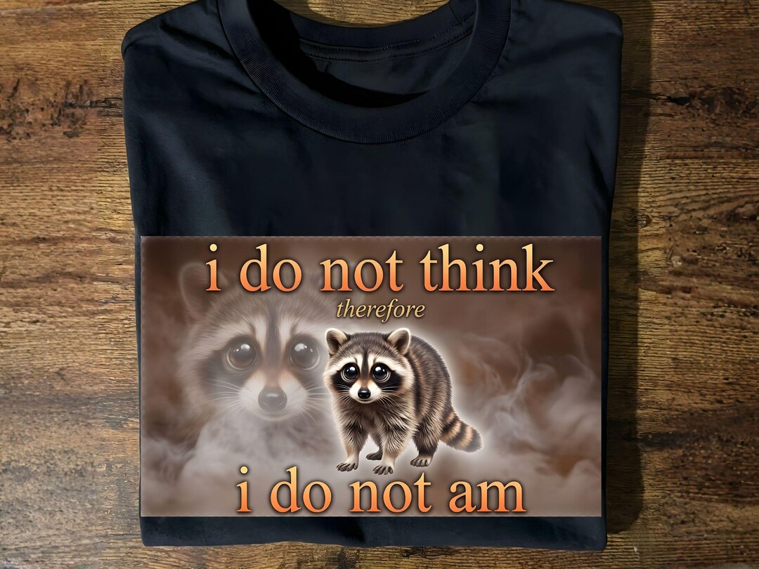 Raccoon PNG, Existential Trash Panda Graphic, Meme Humor (digital ...