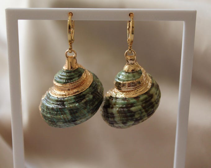 Featured listing image: Jade turbo seashell earrings, summer statement jewelry, gifts for her