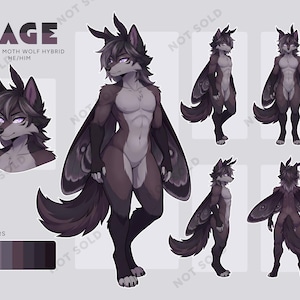 Op de afbeelding: Digitale illustratie van een mot-wolf hybride karakter genaamd Sage. Het karakter wordt in meerdere poses afgebeeld, met donkergrijs en bruin haar, grote motvleugels en paarse ogen. Het kleurenpalet wordt onder het karakter weergegeven.