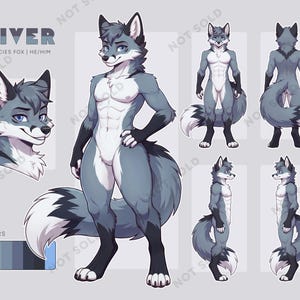 Male Fox Femboy OC, Furry Adopt, Premade Anthro Canine Ref Sheet, Twink Art Character