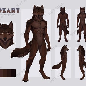 Wolf Furry Adopt, Muscular Canine Anthro OC, Fursona Reference Sheet