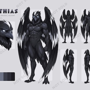 Raven Furry Character Reference Sheet, Crow Fursona Adoptable, Bird Adopt