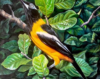 Handmade Oil Painting on Canvas – Art by RAMA