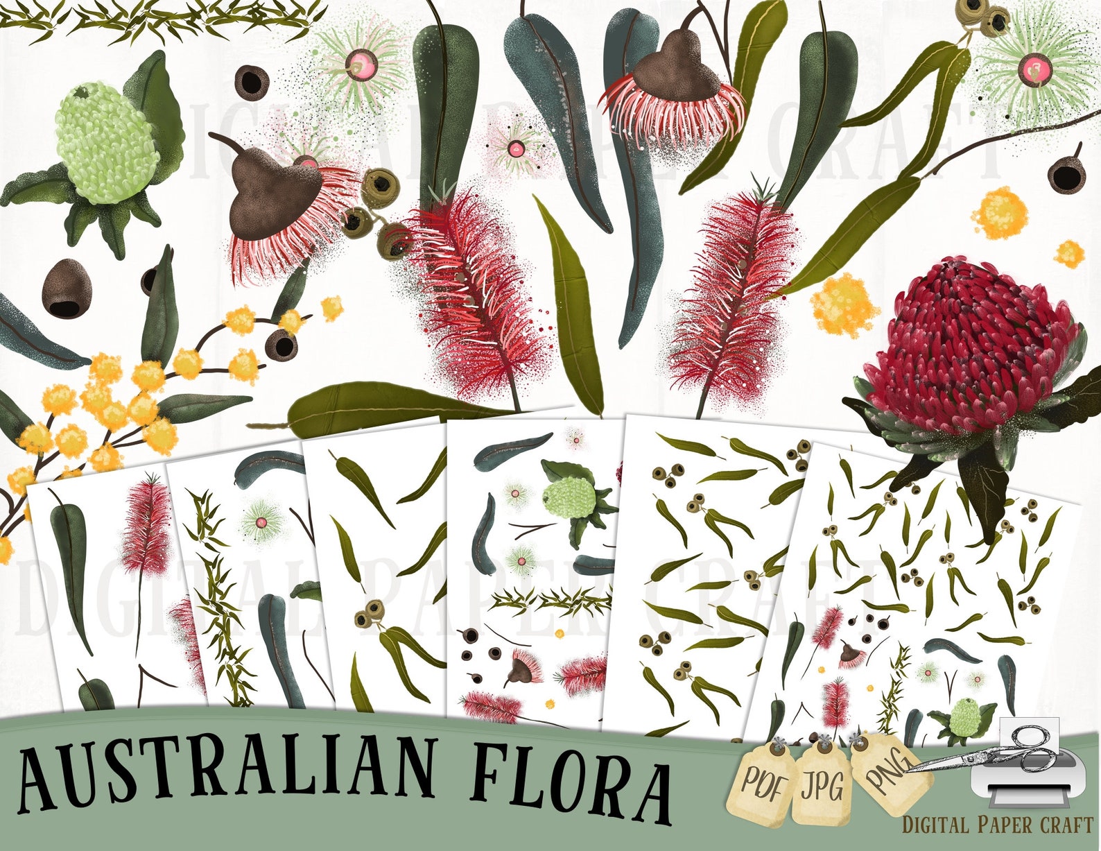 Australia Flora Flora Waratah Bottlebrush Gum Leaves - Etsy Australia