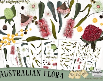 Australia Flora, Flora, Waratah, Bottlebrush, Gum leaves, Wattle , Australia Day Clipart, Oz Clipart, Original Art, pdf, jpg, png