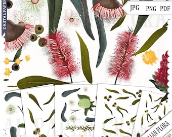 Australia Flora, Flora, Waratah, Bottlebrush, Gum leaves, Australia Day Clipart, Oz Clipart, Original Art, pdf, jpg, png, Commercial Use