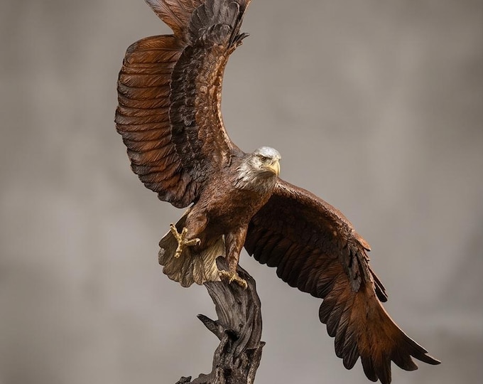 A Bronze Sculpture Of An Eagle In A Flight 56 cm