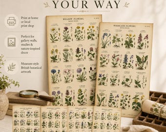 Vintage-Kunstdrucke britischer Wildblumen (4er-Set) – Botanische Wandbilder zum Ausdrucken und Herunterladen