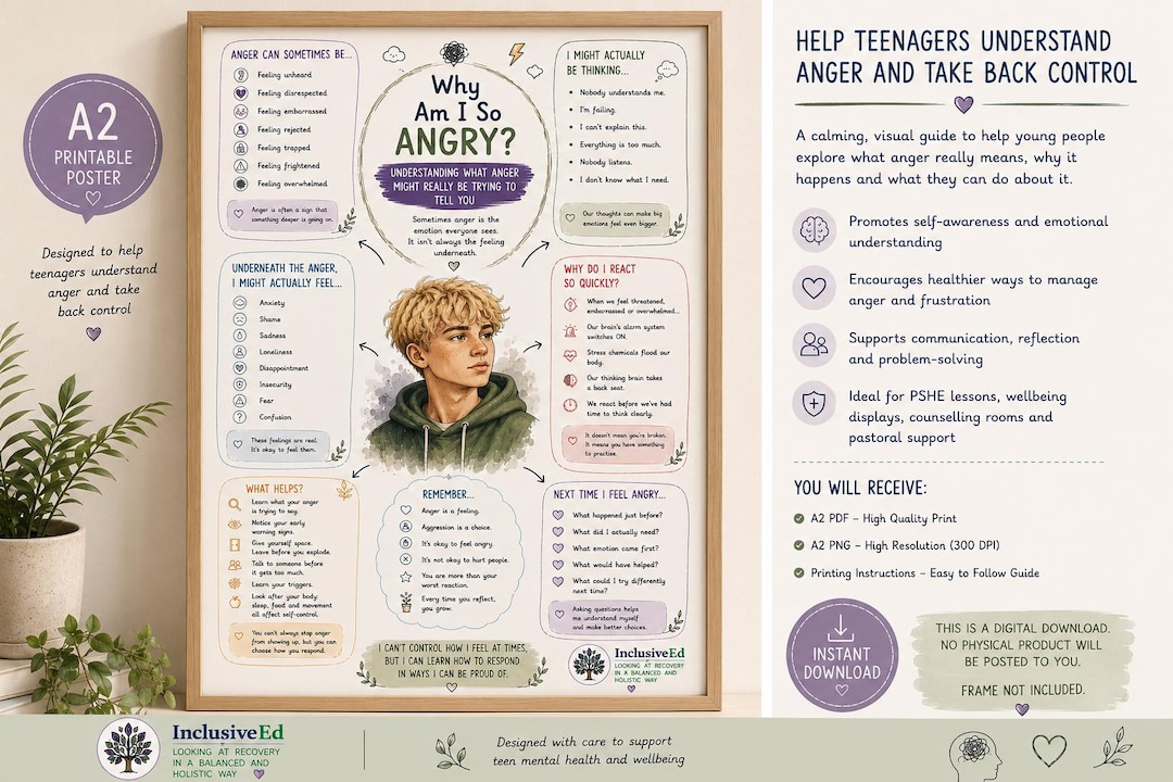 Teen anger regulation and understanding emotions poster preview