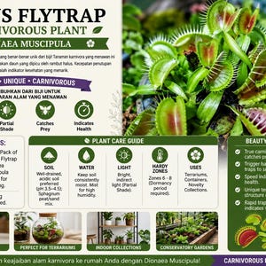 Venus Flytrap Seeds 10-Pack Carnivorous Plant Dionaea Muscipula for Planting