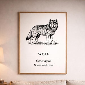 Puede incluir: Una ilustración en blanco y negro enmarcada de un lobo, con la etiqueta "WOLF" y "Canis lupus", cuelga sobre un sofá beige con cojines decorativos y una manta con flecos. Una mesa de centro de madera exhibe una bandeja con una taza, un jarrón y piñas, creando una escena acogedora y rústica.