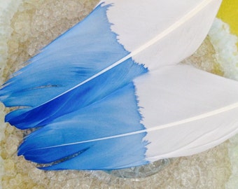 Indigo Dipped Feather Earrings