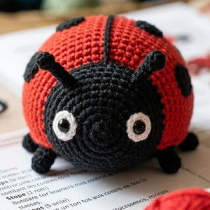 May include: A handmade crochet ladybug with a red body and black spots, head, and legs. The ladybug has white-rimmed eyes and antennae. It is sitting on an open book with crochet instructions and a red yarn ball.